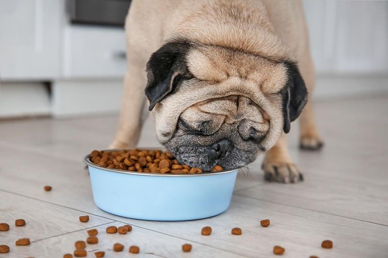 Measure Food Portions Precisely