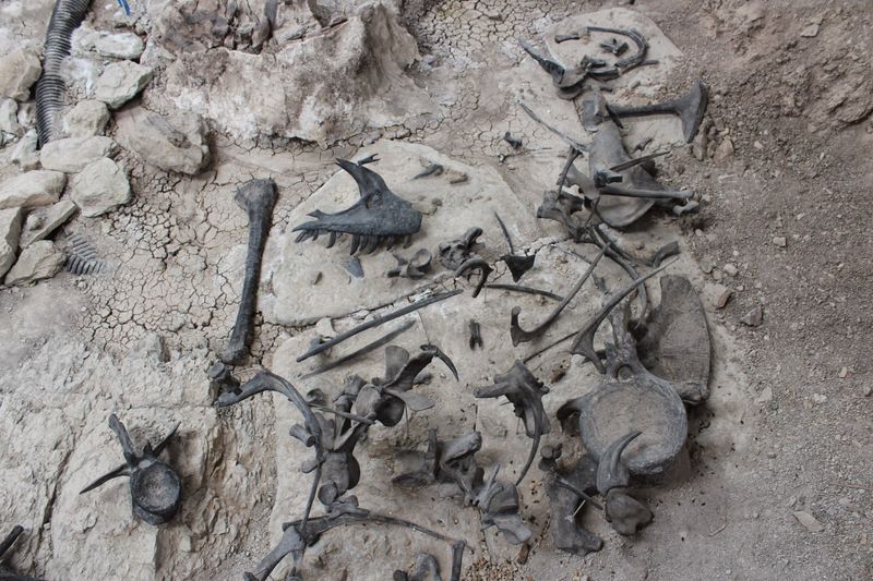 Cleveland-Lloyd Dinosaur Quarry (Utah)