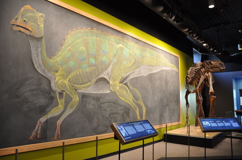 Academy Of Natural Sciences (Philadelphia)
