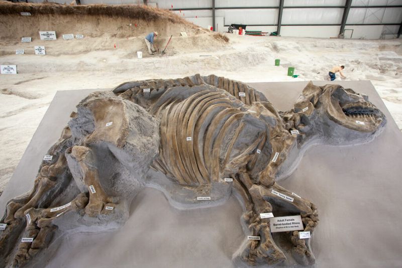 Ashfall Fossil Beds (Nebraska)