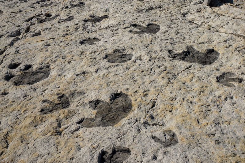 Dinosaur Ridge (Colorado)