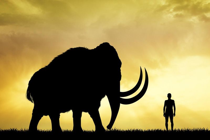 Gene Editing's Role In De-Extinction
