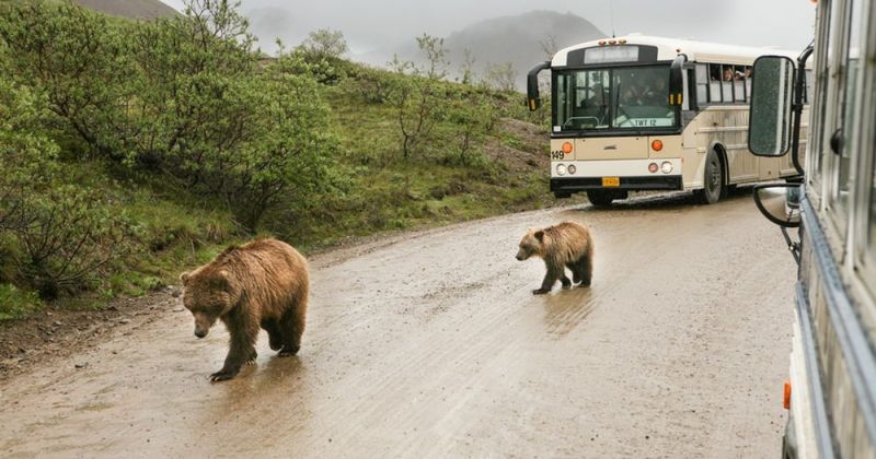 Relying Too Much On Guides And Tours