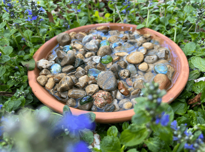 Create A Bee Bath