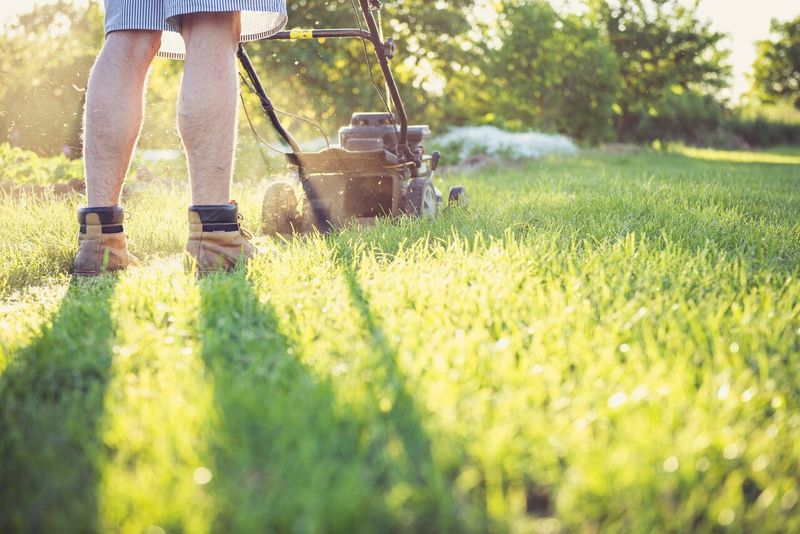 Recently Mowed Lawns