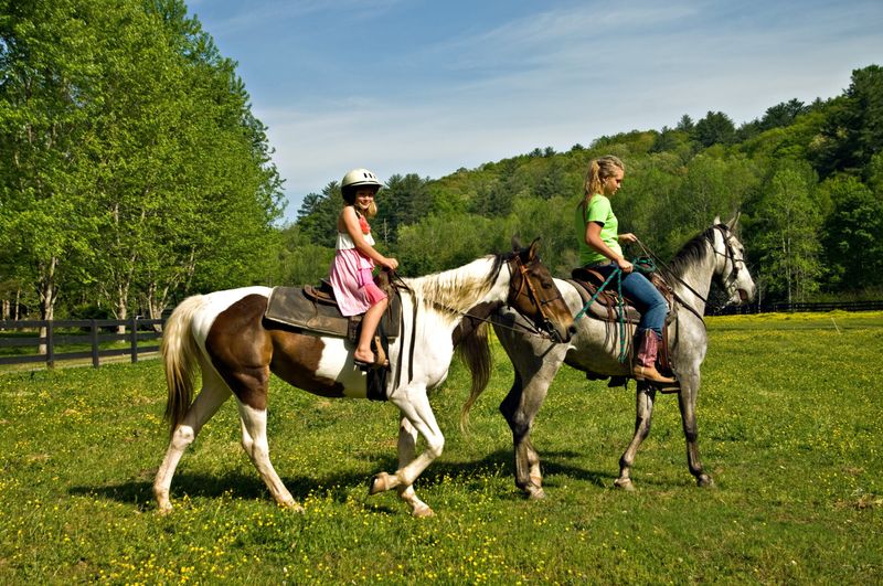 Kid Horses – The Young Rancher Teachers