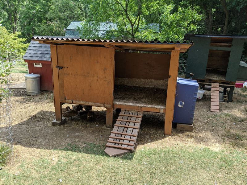 Duck Housing Differs From Chicken Coops