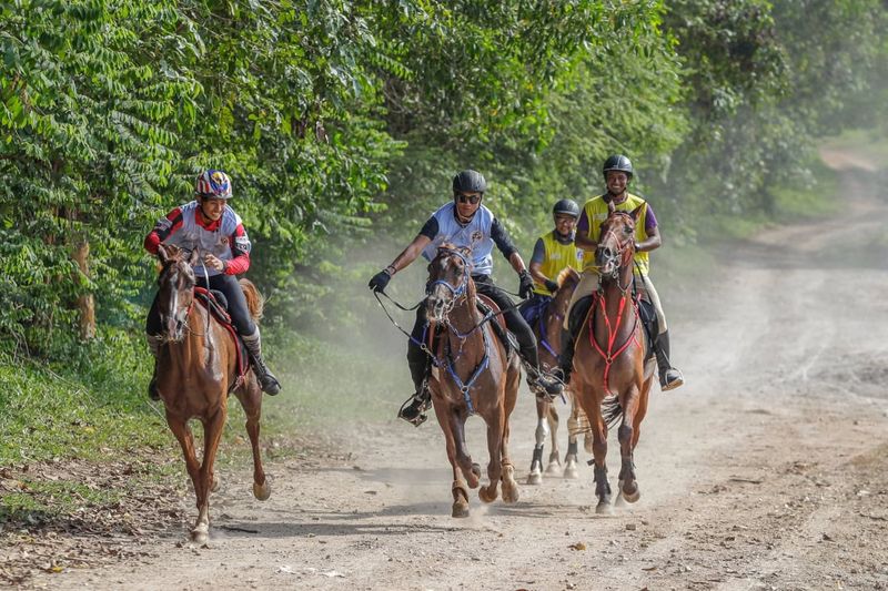 Endurance Riding
