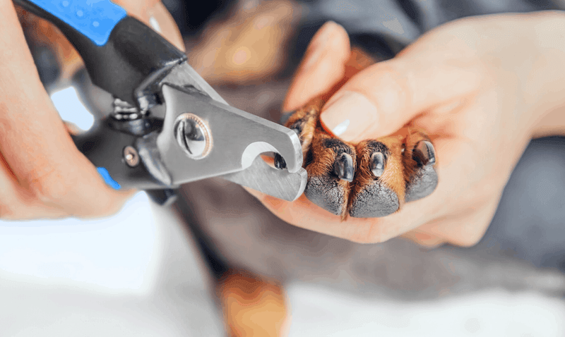 Nail Trimming Tactics