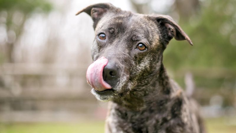 Licking Lips