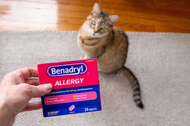 Spring Allergies And Medications