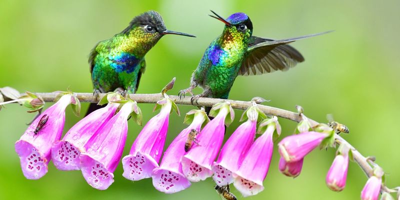 Colorful Floral Displays