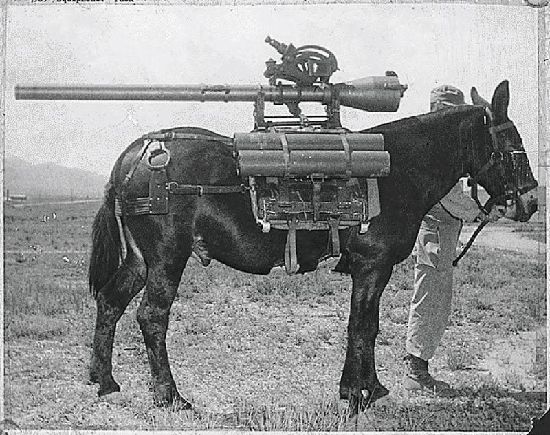 Historic Military Significance