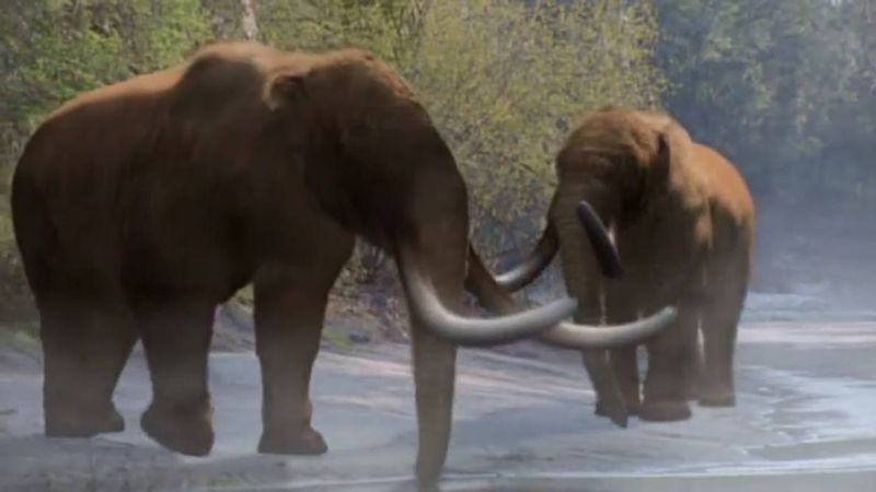 Family Matters: Social Structures Among Ancient Species