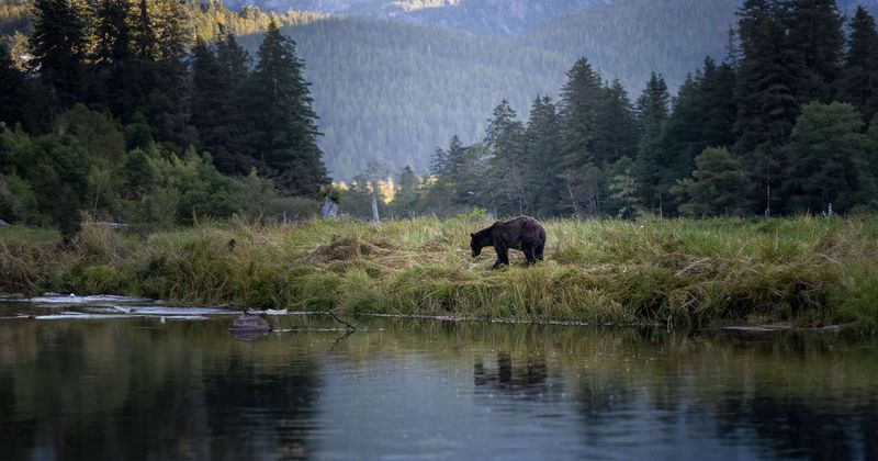 Potential For Ecotourism