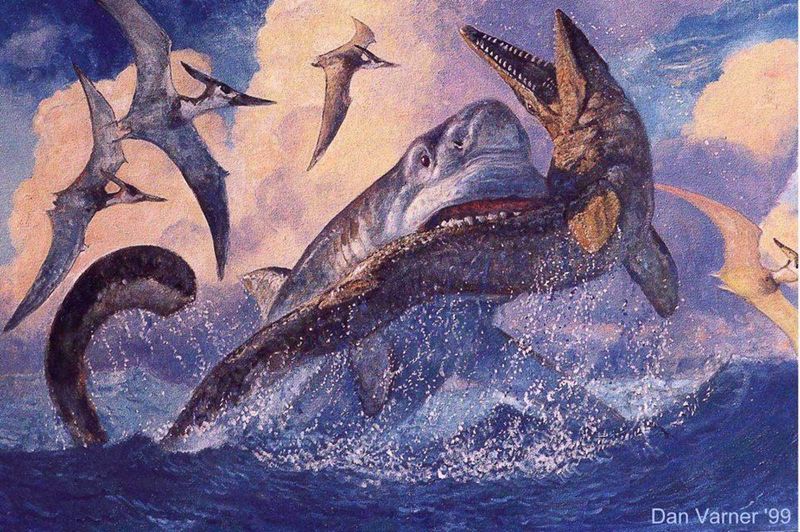 Cretoxyrhina: The Cretaceous Great White