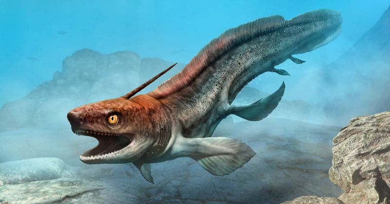 Xenacanthus: The Eel-Shark Hybrid