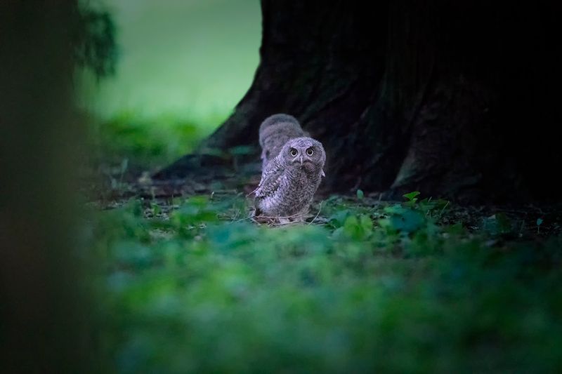 Practice Ethical Photography