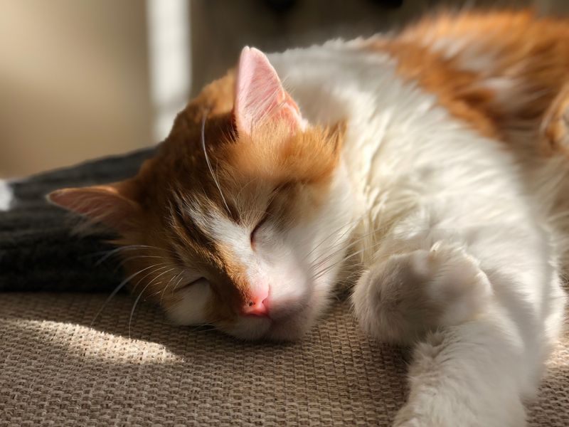 Contentment In Stillness