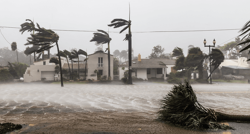Hurricane Intensity Destroying Coastal Ecosystems