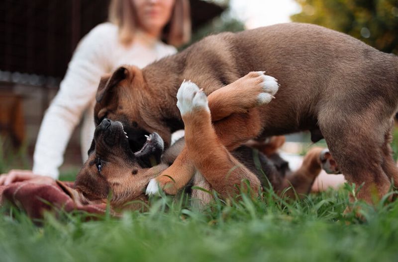 Impulse Control Practice