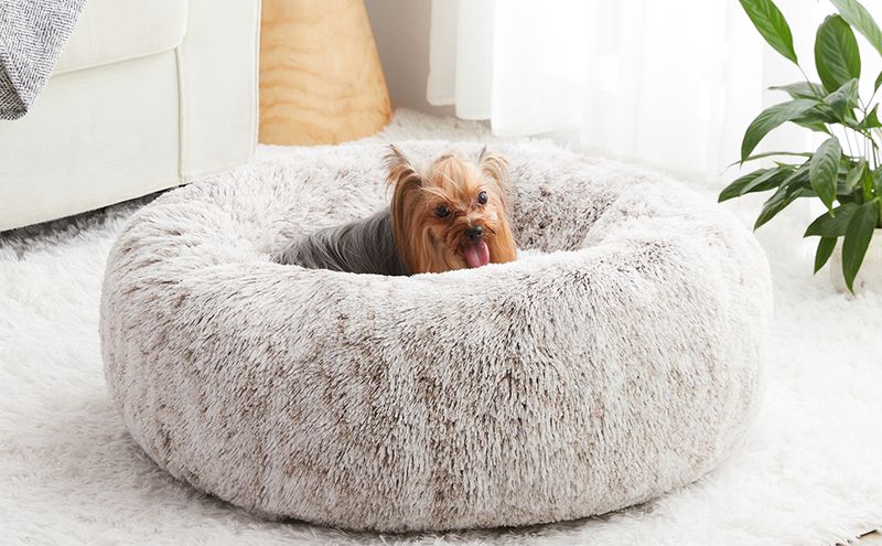 Provide Comfortable Sleeping Arrangements