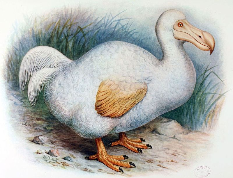 Museums Offer Genetic Clues