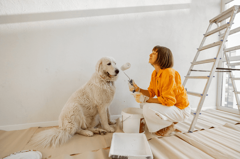 Fresh Paint Frightens Fido