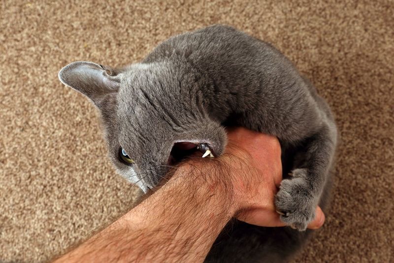 Biting