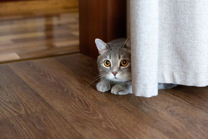 Hiding More Than Usual