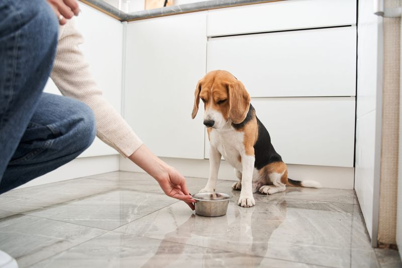 Changes In Appetite