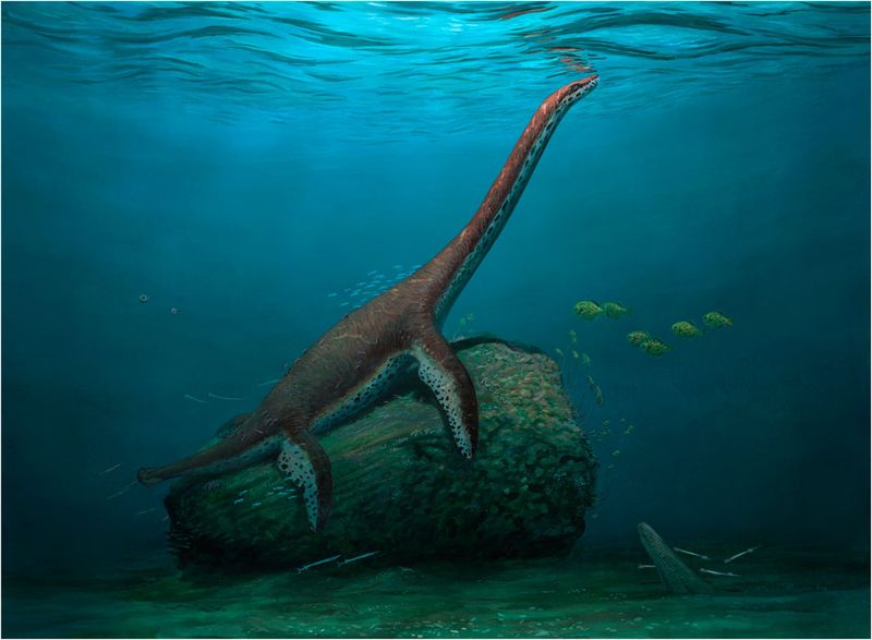 Loch Ness Inspiration
