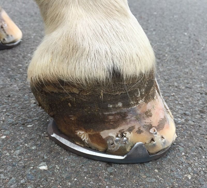 Riding On Hard Or Rocky Surfaces Too Often