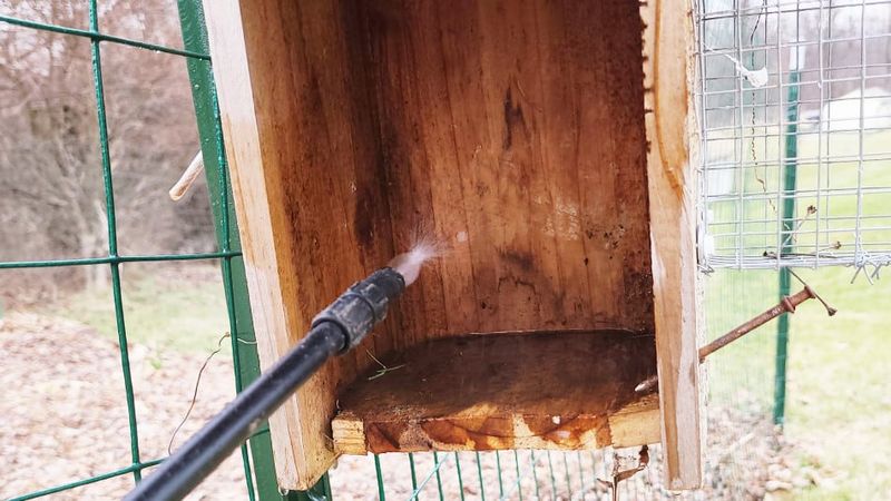 Mite Infestations Signal Urgent Action