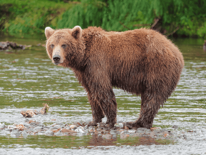 Russia's Kamchatka Peninsula