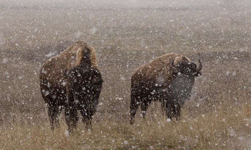 Winter Weather Warriors