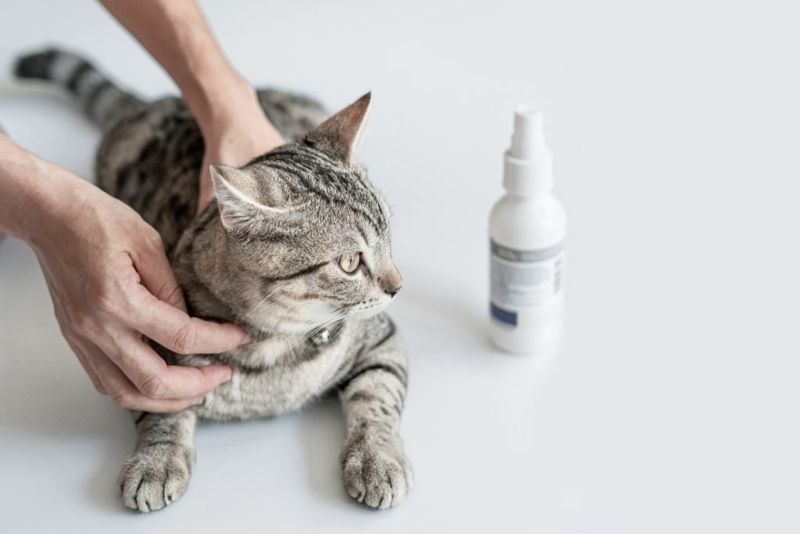Calming Pheromone Spray Or Diffuser