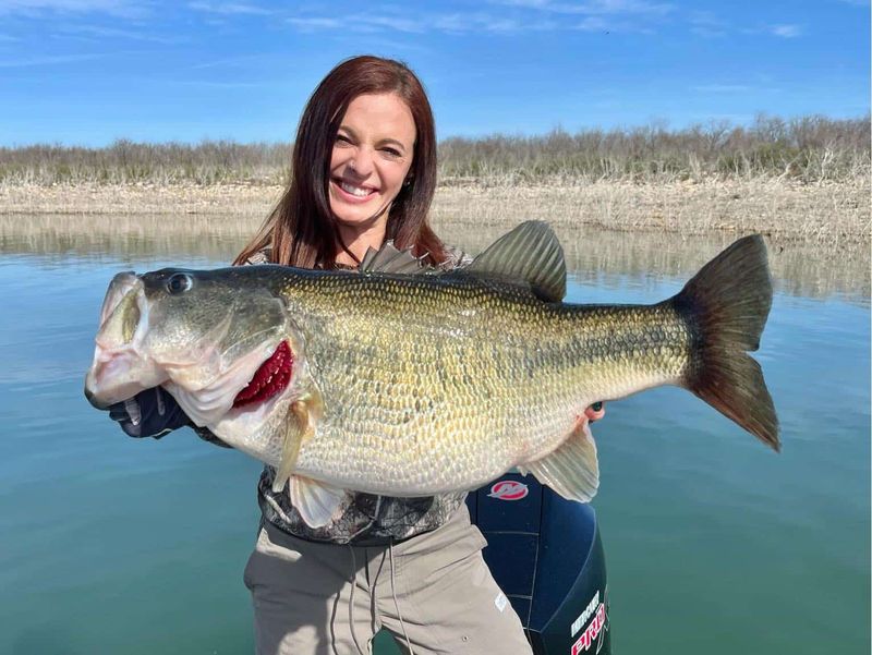 Largemouth Bass