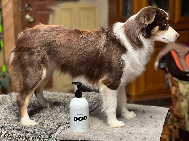 Coat Conditioning