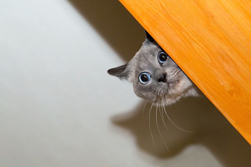 Constant Vigilance And Inability To Relax