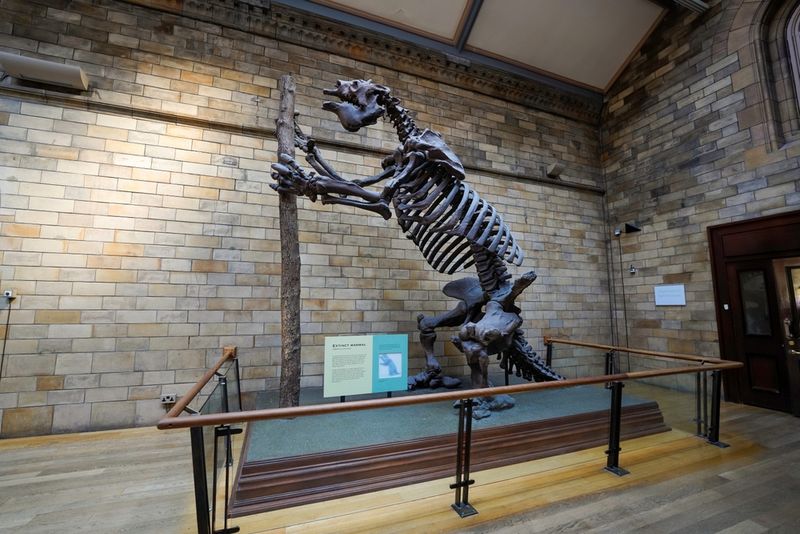 How Big Was This Giant Sloth?