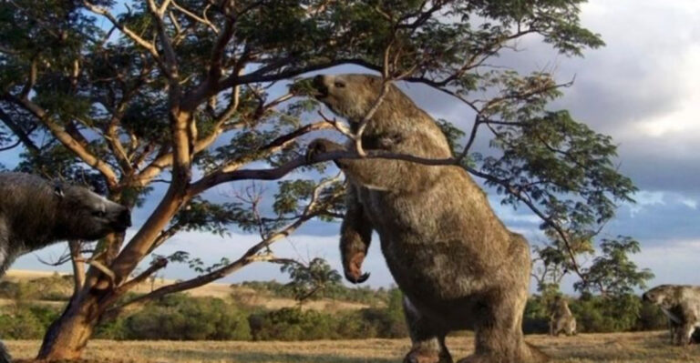 Florida's Latest Fossil Find: A Giant Sloth Skeleton Emerges