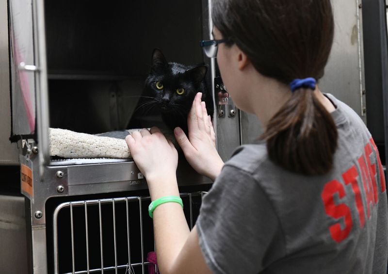 Check Local Shelters