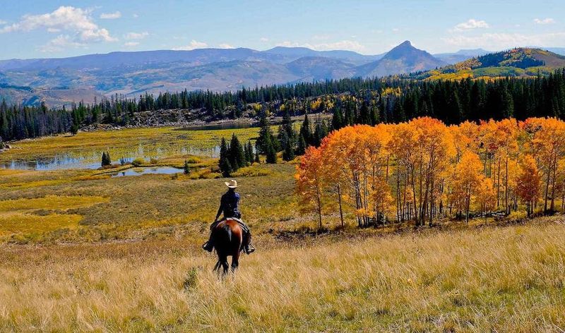 Latigo Ranch – Colorado's High-Country Horse Heaven
