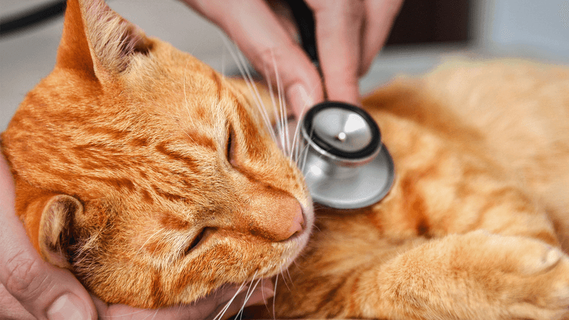 Underestimating Annual Healthcare Costs