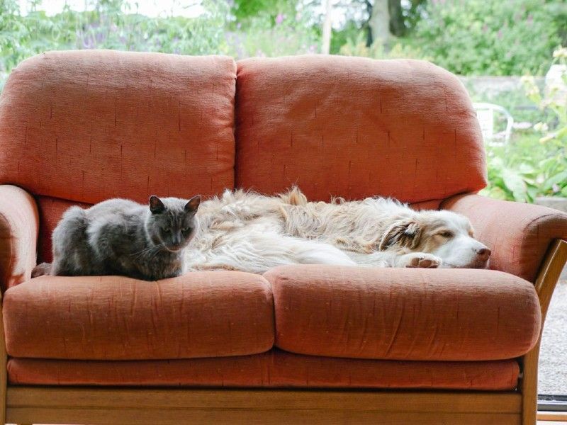Neglecting Separate Spaces