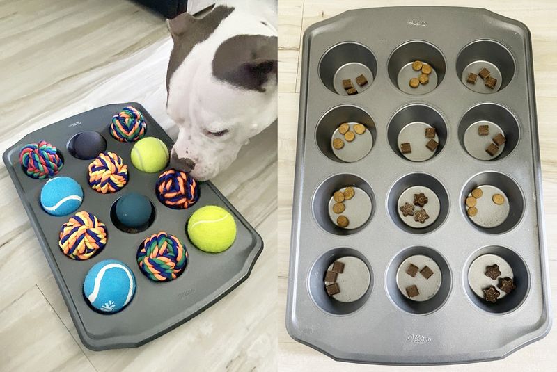 Create Enrichment Toys