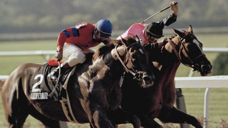 Affirmed vs. Alydar: The Greatest Rivalry