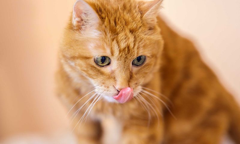 Frequent Lip Licking