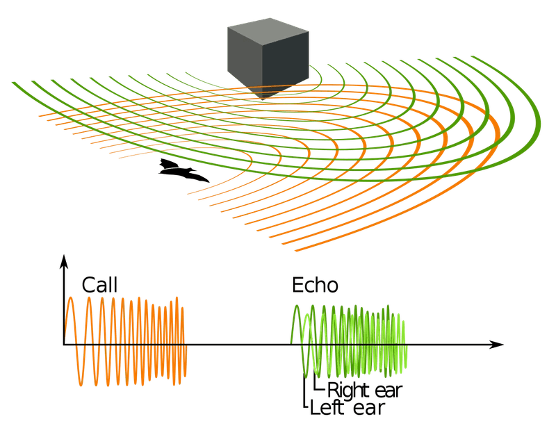 What Is Sonar And How Does It Work?